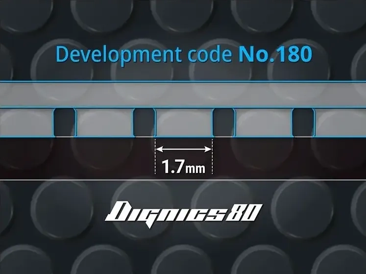 dignics-80_8.webp